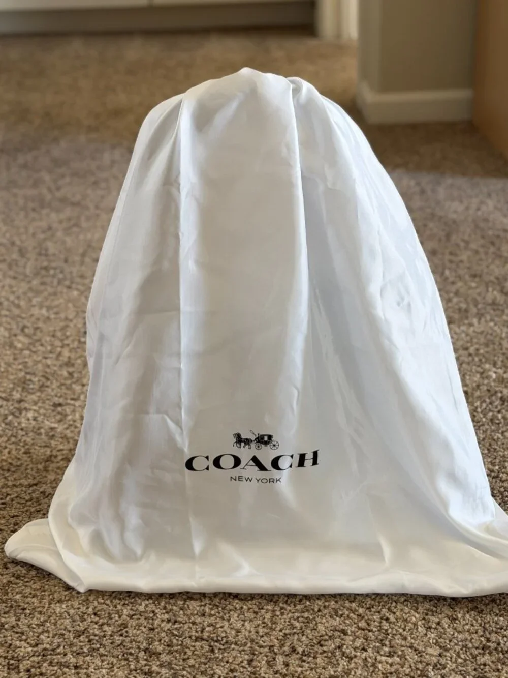 Coach Lana Shoulder Bag in polished pebble leather/Brass/Maple